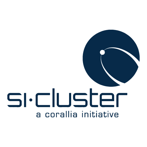 si-Cluster